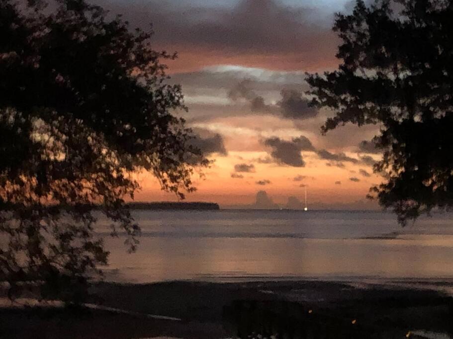 Peaceful Treetop Condo - 2Br/2Ba Hilton Head Island Bagian luar foto