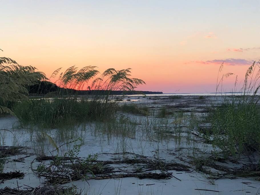 Peaceful Treetop Condo - 2Br/2Ba Hilton Head Island Bagian luar foto